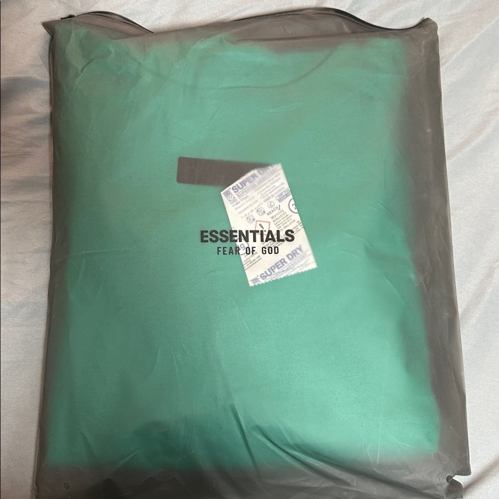 Fear of God ESSENTIALS 2024 Mint Leaf Hoodie M NWT FW24 - Picture 6 of 8